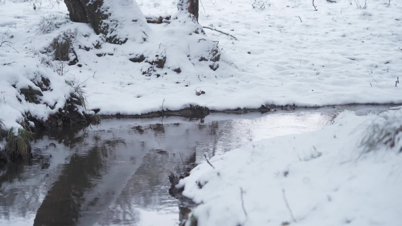 小溪蜿蜒穿过冰雪覆盖的冬日仙境。特写镜头视频素材