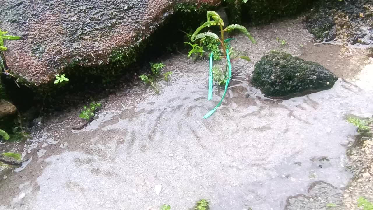 雨滴落在沙滩上的水坑里。视频素材