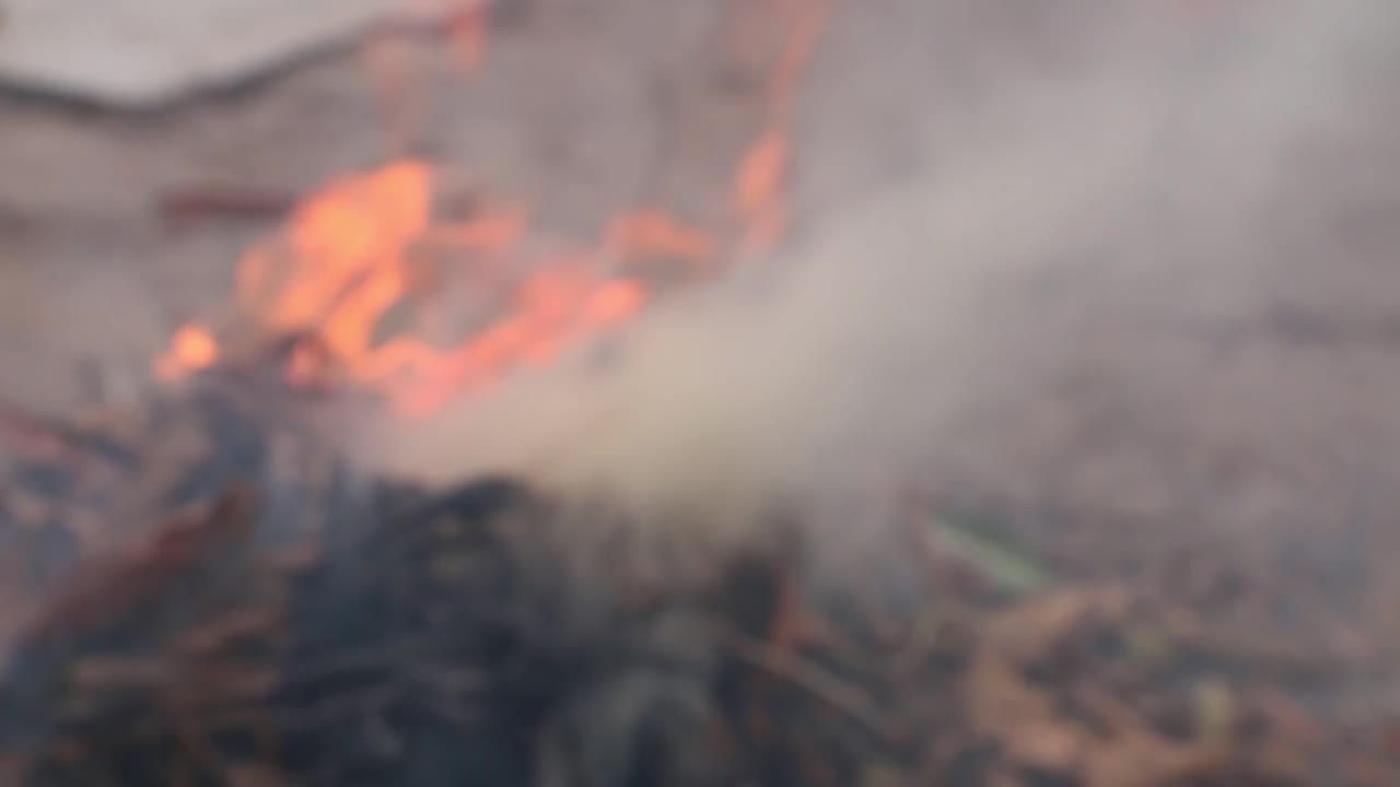 模糊的视频显示，干枯的树叶和树枝堆积在一起，被大火和烟雾焚烧视频素材