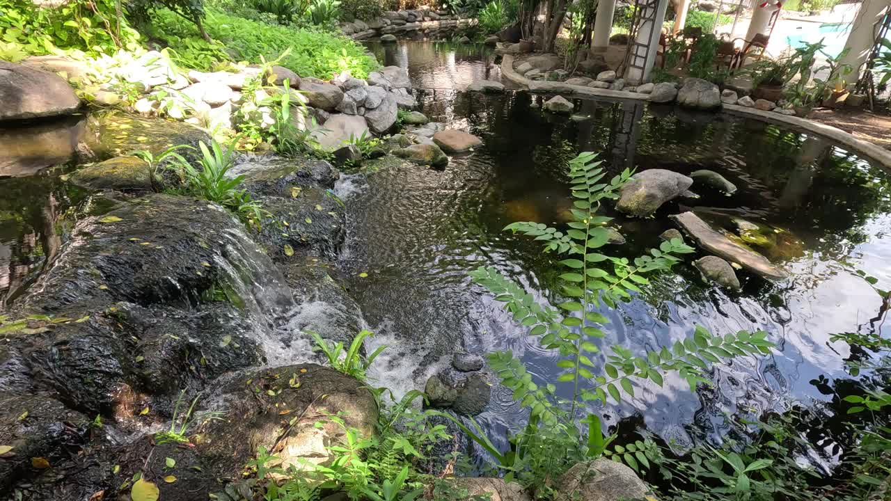 随着时间的推移，宁静的花园池塘视频素材