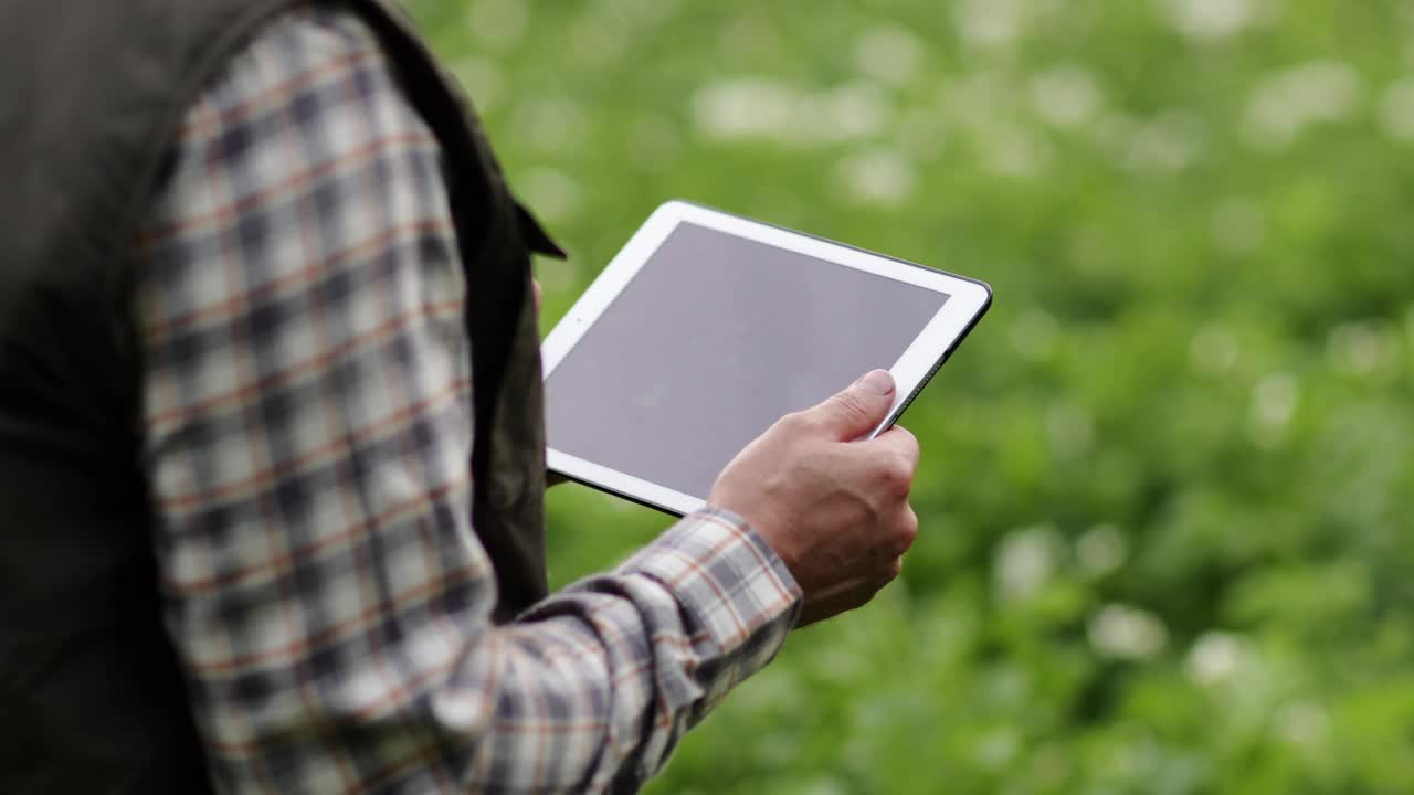 农民的手的裁剪镜头，并使用数字平板电脑来分析和检查开花马铃薯田植物的生长和疾病。智慧农业技术与农业理念。视频素材