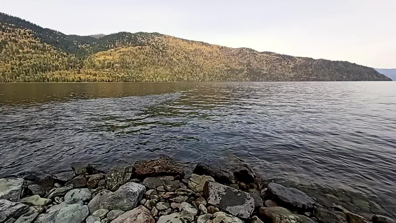 在一个秋天的傍晚，一个宽阔平静的湖的岩石卵石岸边，周围是覆盖着茂密针叶林的高山。视频素材