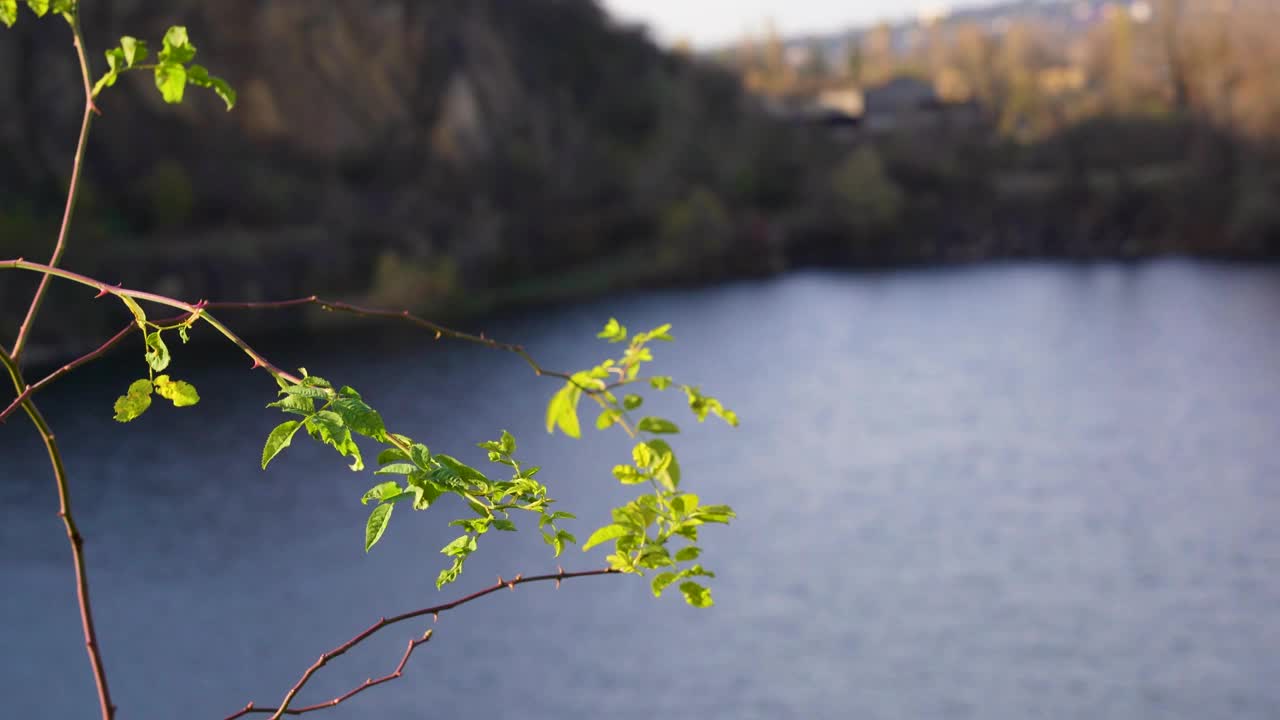 阳光明媚的春日里的湖景视频素材