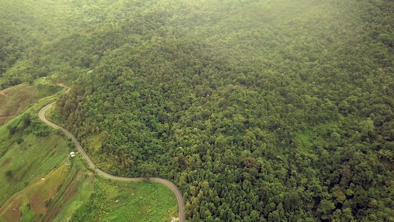 航空物流概念。一条蜿蜒的道路穿过充满活力的热带雨林，创造了一个迷人的自然和交通的融合。视频素材