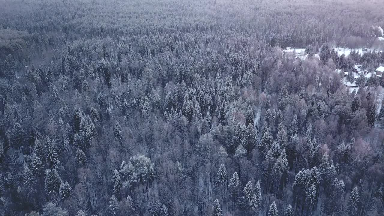 十二月寒冷的霜冻。夹。从直升机上看，被雪覆盖的冷杉树彼此靠得很近。高品质4k画面视频素材