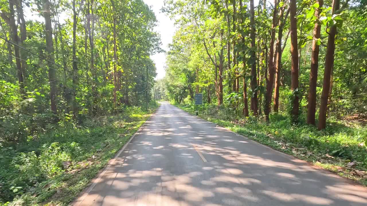 风景秀丽的森林公路之旅视频素材