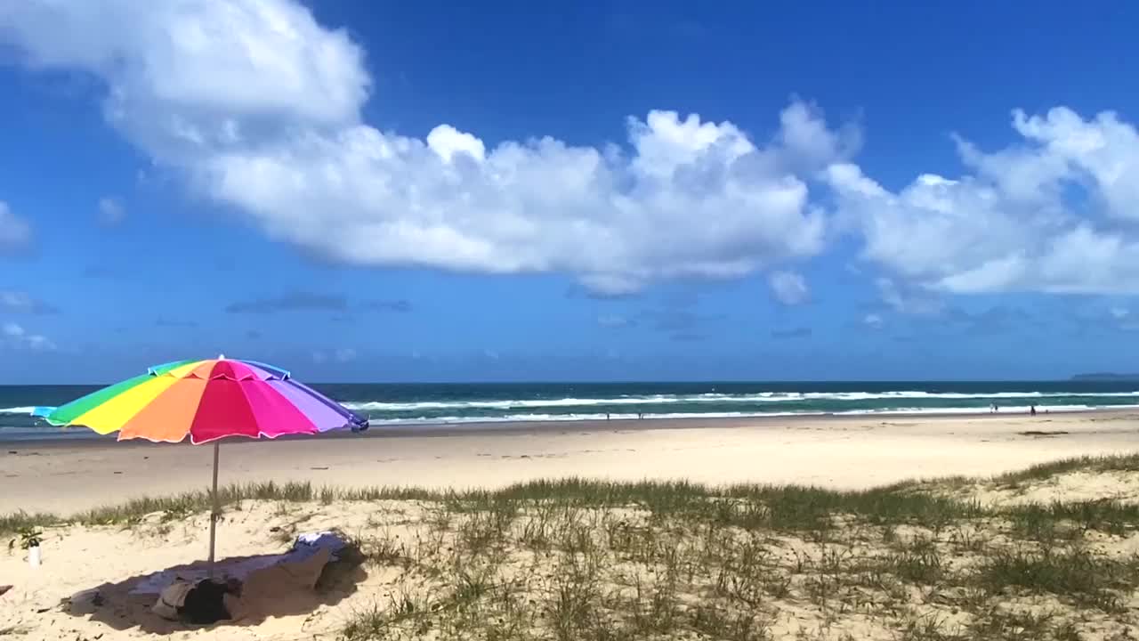 夏日沙滩伞视频下载