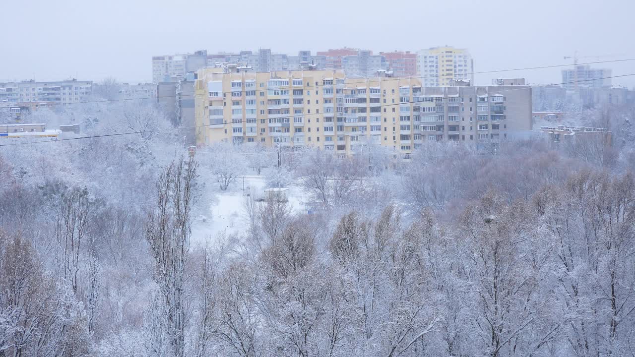 大城市的冬季景观。白雪覆盖的树顶映衬着多层的高层建筑。视频下载