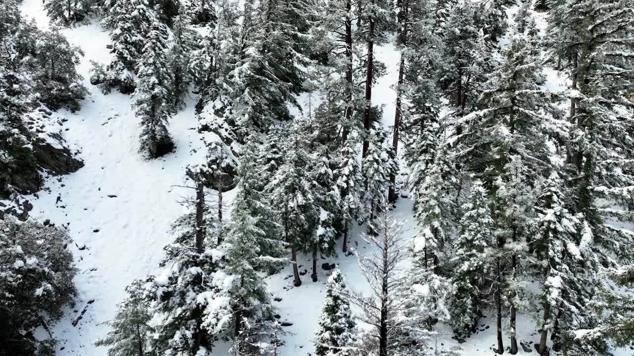 洛杉矶附近积雪覆盖的山脉航拍图视频素材