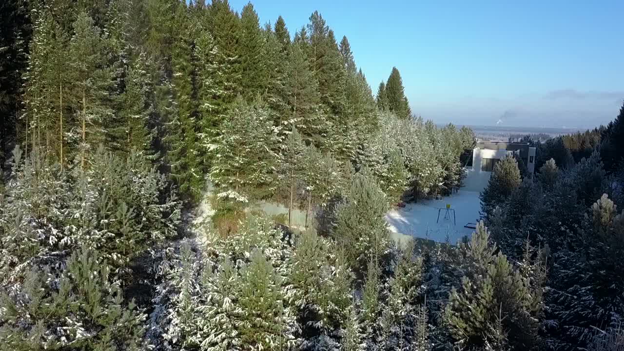 白天森林的平静景色。夹。冷杉树和光秃秃的树在雪天的阳光照耀下。高品质4k画面视频素材