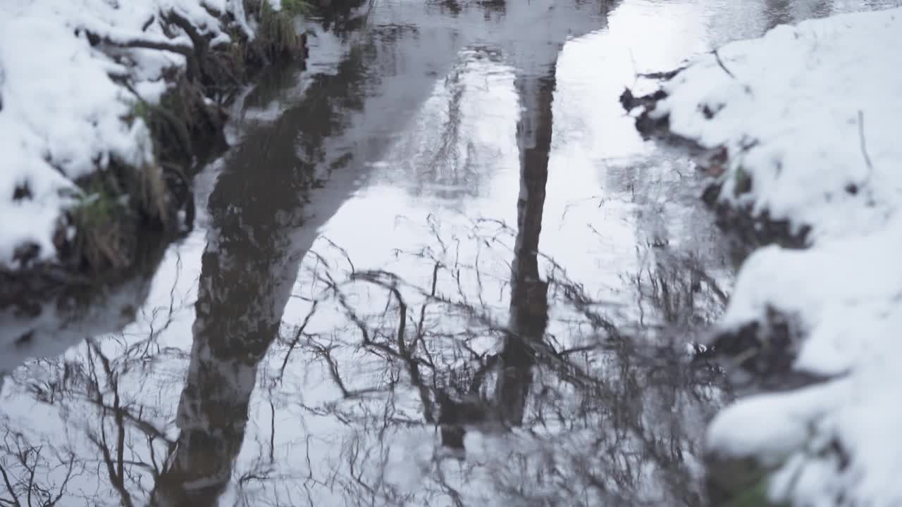 流过白雪皑皑的小溪上的树木倒影-静态视频素材