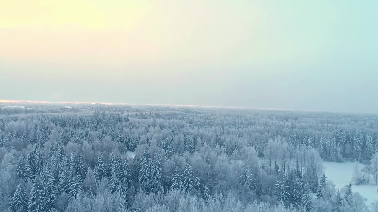 奇妙的满冬冻林，雪树，美丽的自然冷景观视频素材