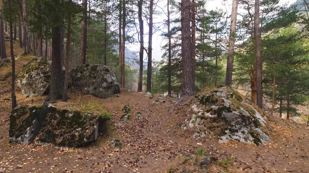 山顶上的岩石长满了青苔、青草和罕见的树木，背景是晴朗的天空视频素材