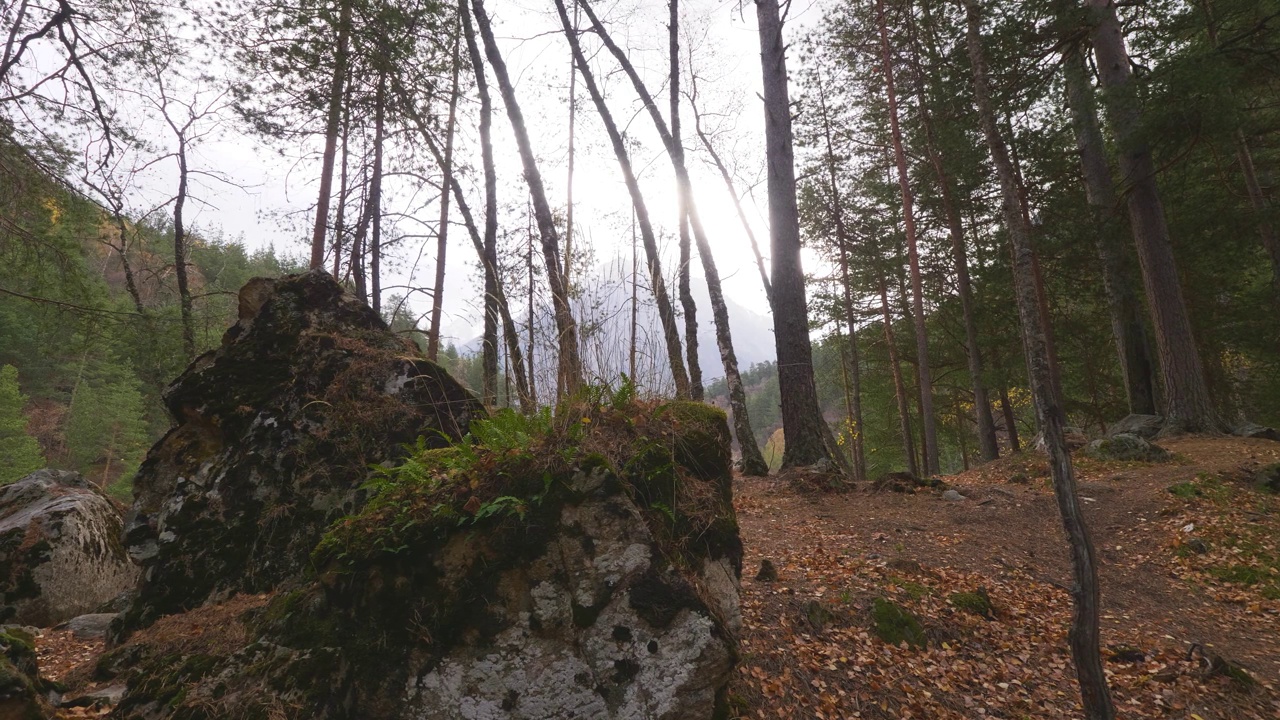 山顶上的岩石长满了青苔、青草和罕见的树木，背景是晴朗的天空视频素材