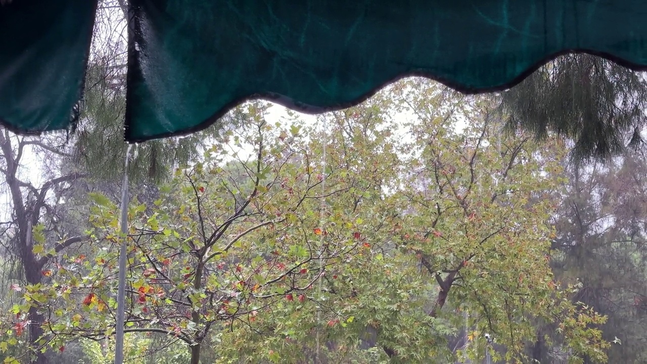 下雨时雨滴的特写镜头视频素材