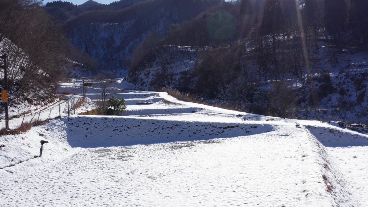 稻田被雪覆盖着视频下载