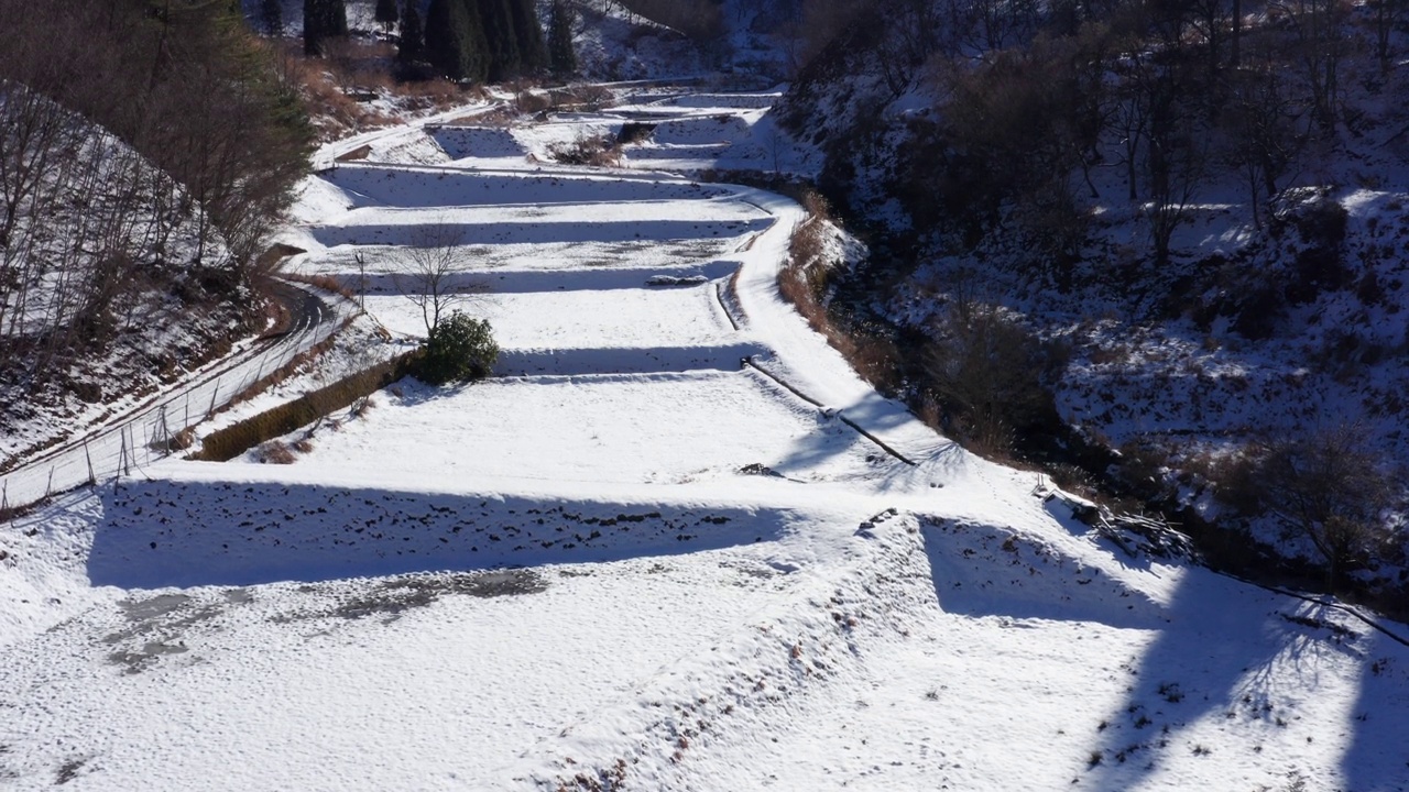 稻田被雪覆盖着视频下载