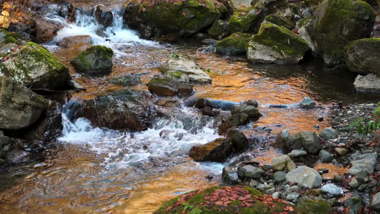 小山涧，青苔和秋叶视频素材