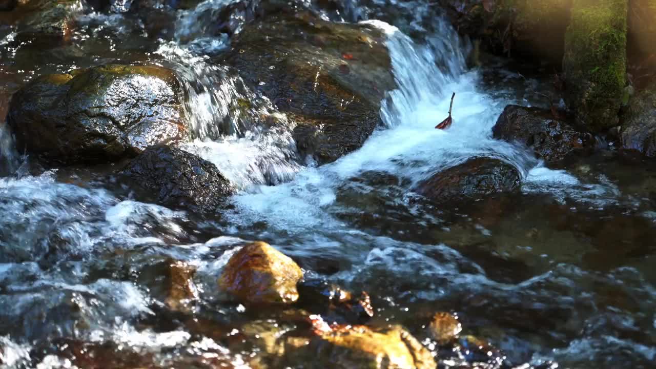 小山涧，青苔和秋叶视频素材