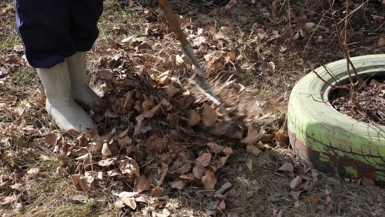 花园的春季大扫除。耙干叶子。视频素材