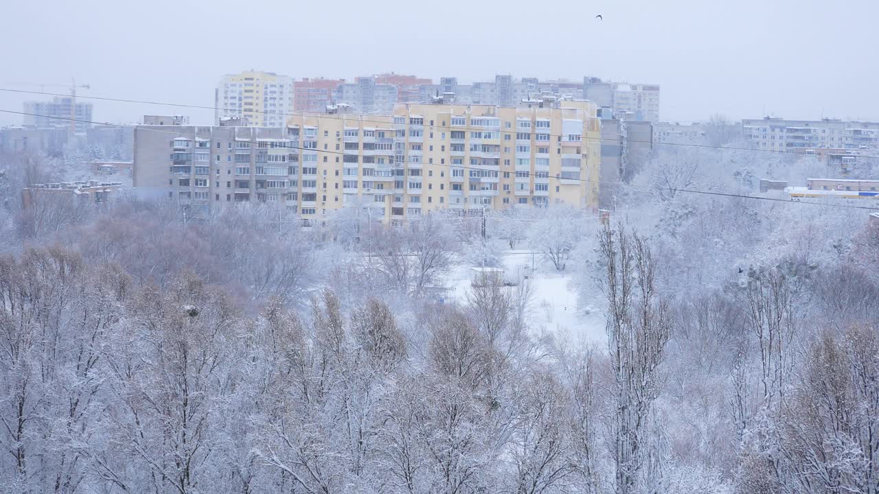 雪中的大都市。背景是白雪覆盖的树木和多层建筑。前视图。视频下载