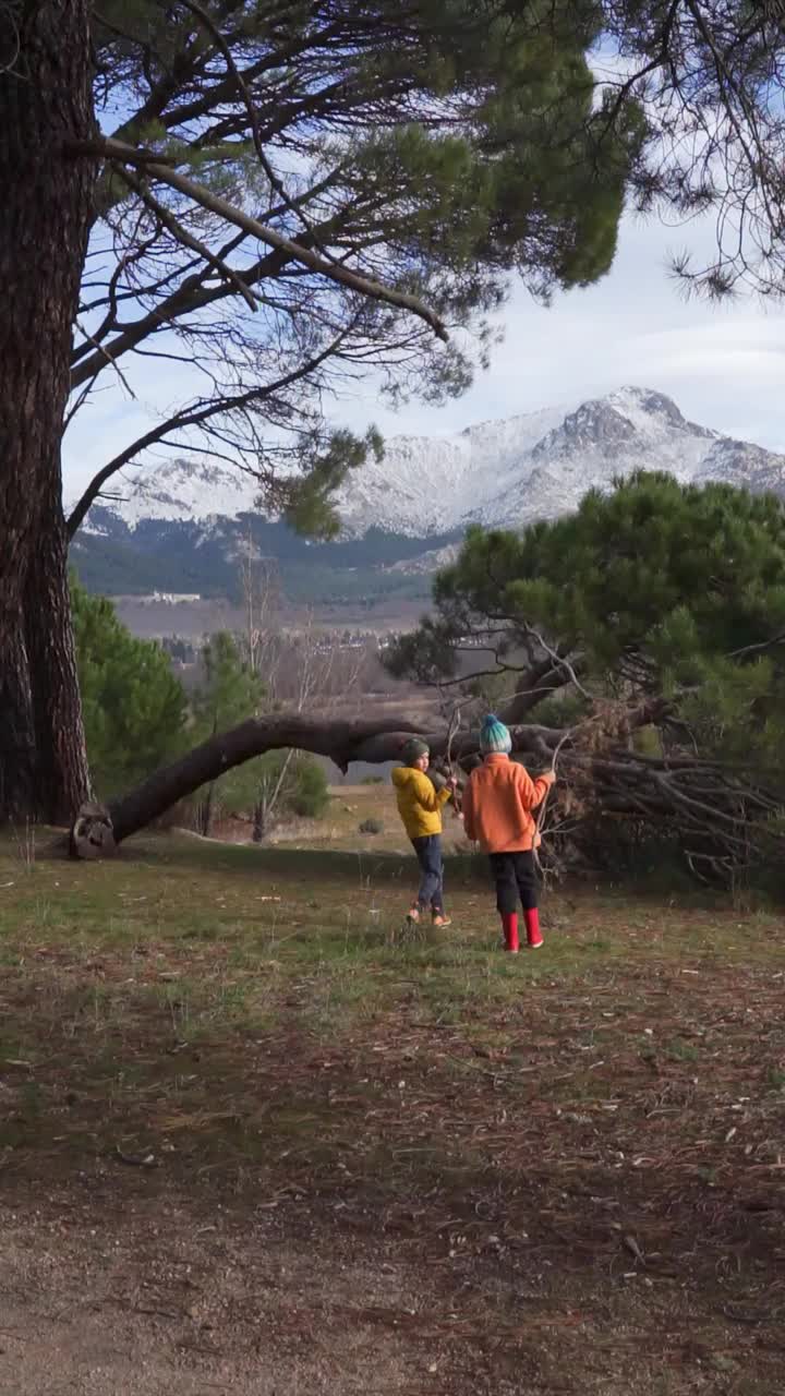 孩子们以雪山为背景搭建树屋视频素材