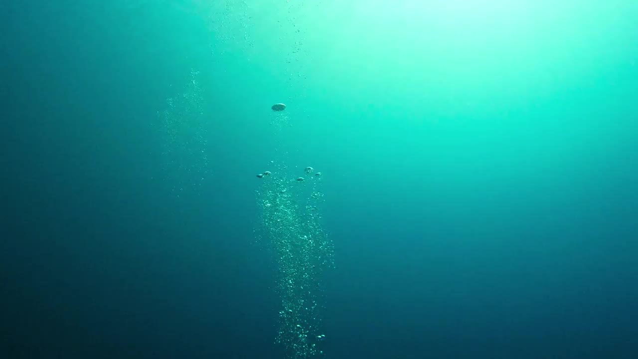 在印度洋潜水时，气泡上升到水面视频素材