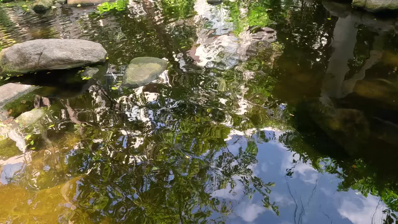 随着时间的推移，宁静的花园池塘视频素材