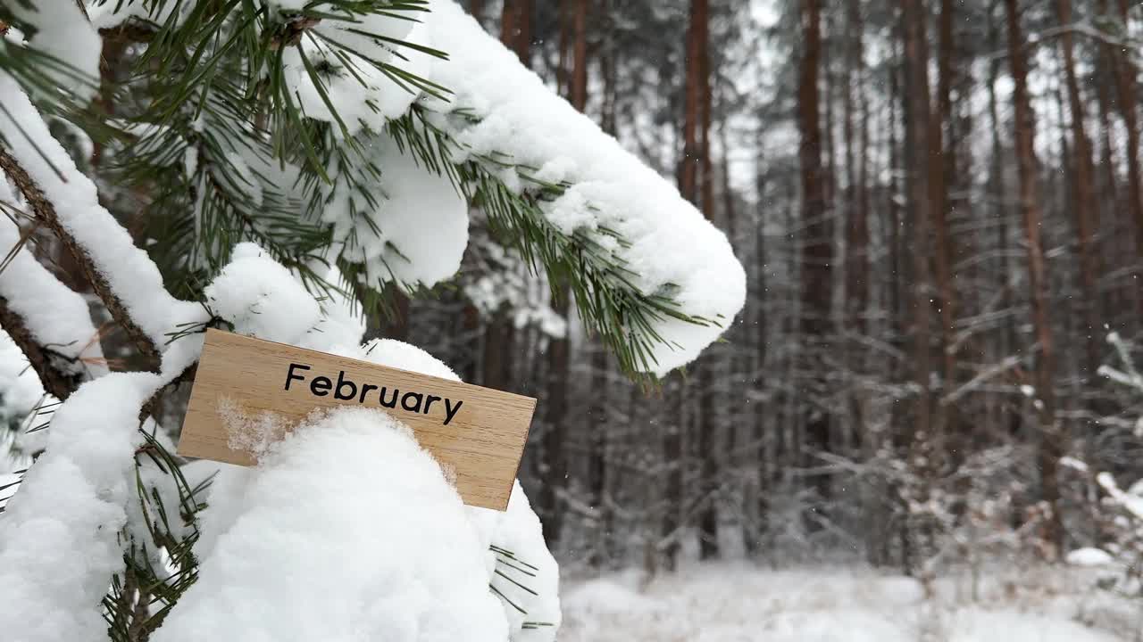 在冬天的森林里，白雪覆盖的松树上挂着二月的木牌视频下载