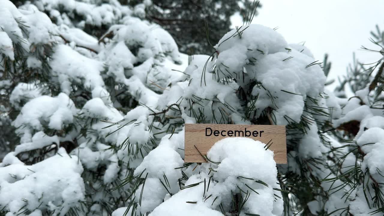 冬天森林里，被雪覆盖的松树上挂着十二月的木牌视频下载