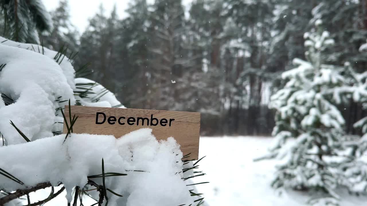 冬天森林里，被雪覆盖的松树上挂着十二月的木牌视频下载