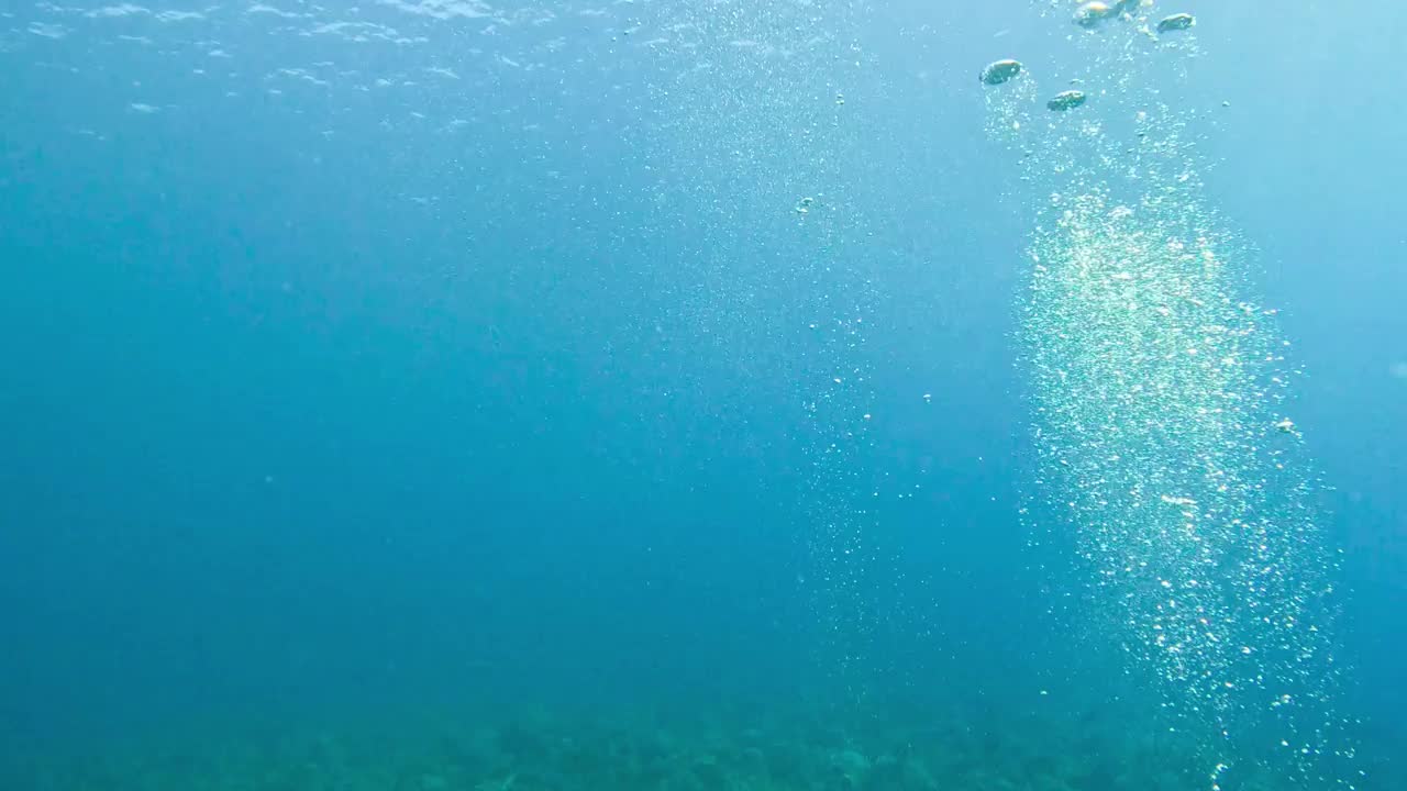 在印度洋潜水时，气泡上升到水面视频素材