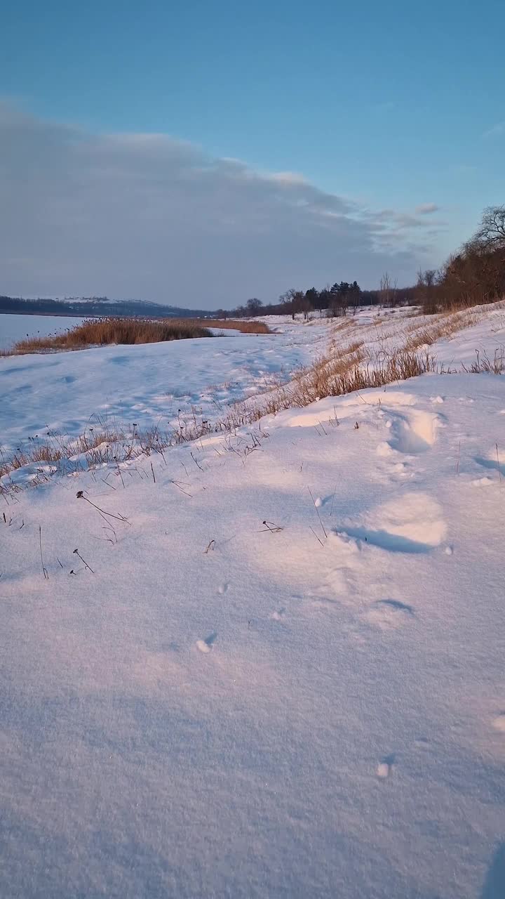 冬天的景色，森林和冰冻的湖泊附近有雪堆视频素材