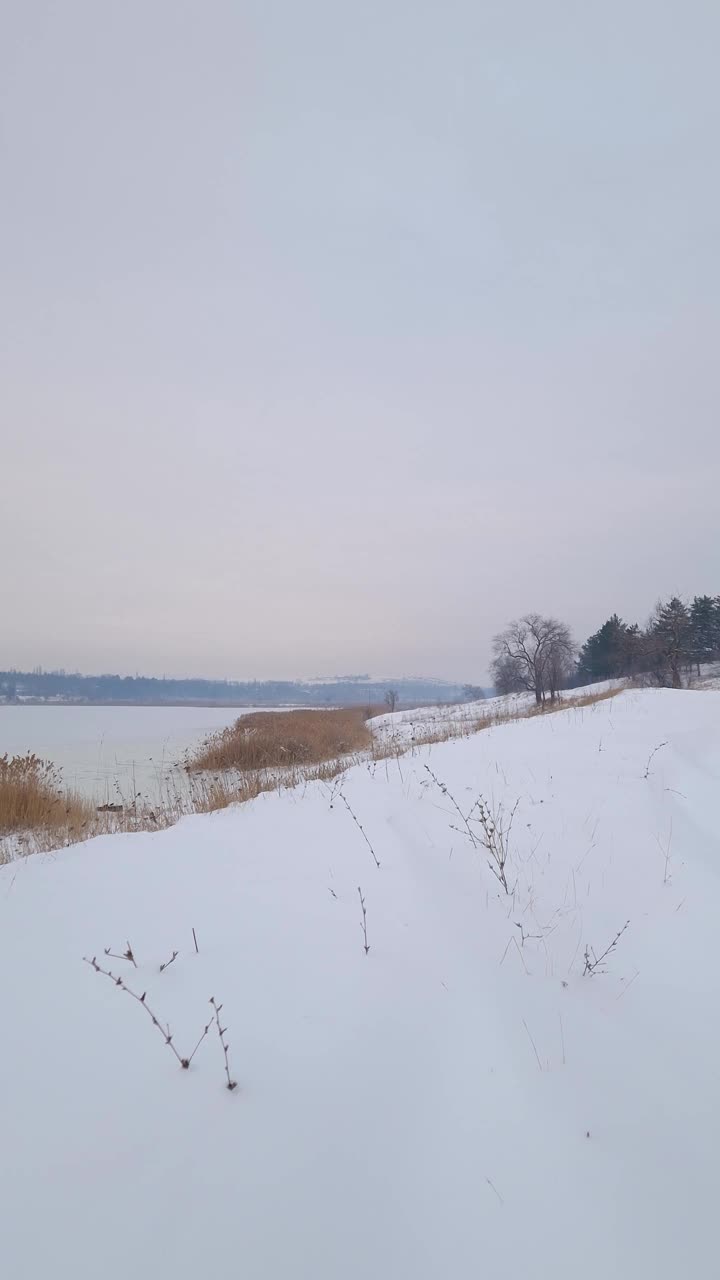 冬天的景色，森林和冰冻的湖泊附近有雪堆视频素材