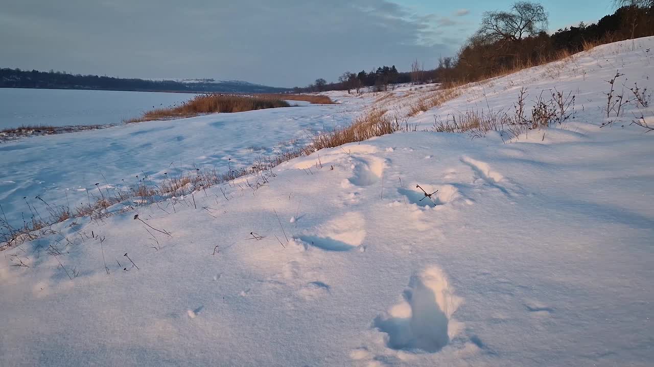 冬天的景色，森林和冰冻的湖泊附近有雪堆视频素材