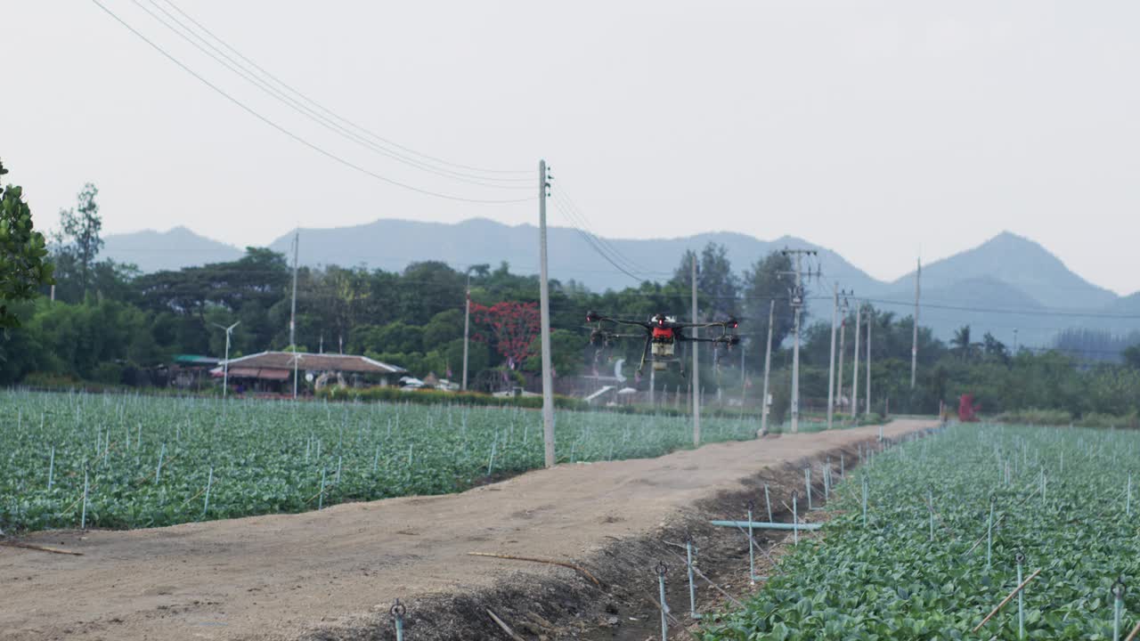 农业技术无人机在田地上喷洒视频素材