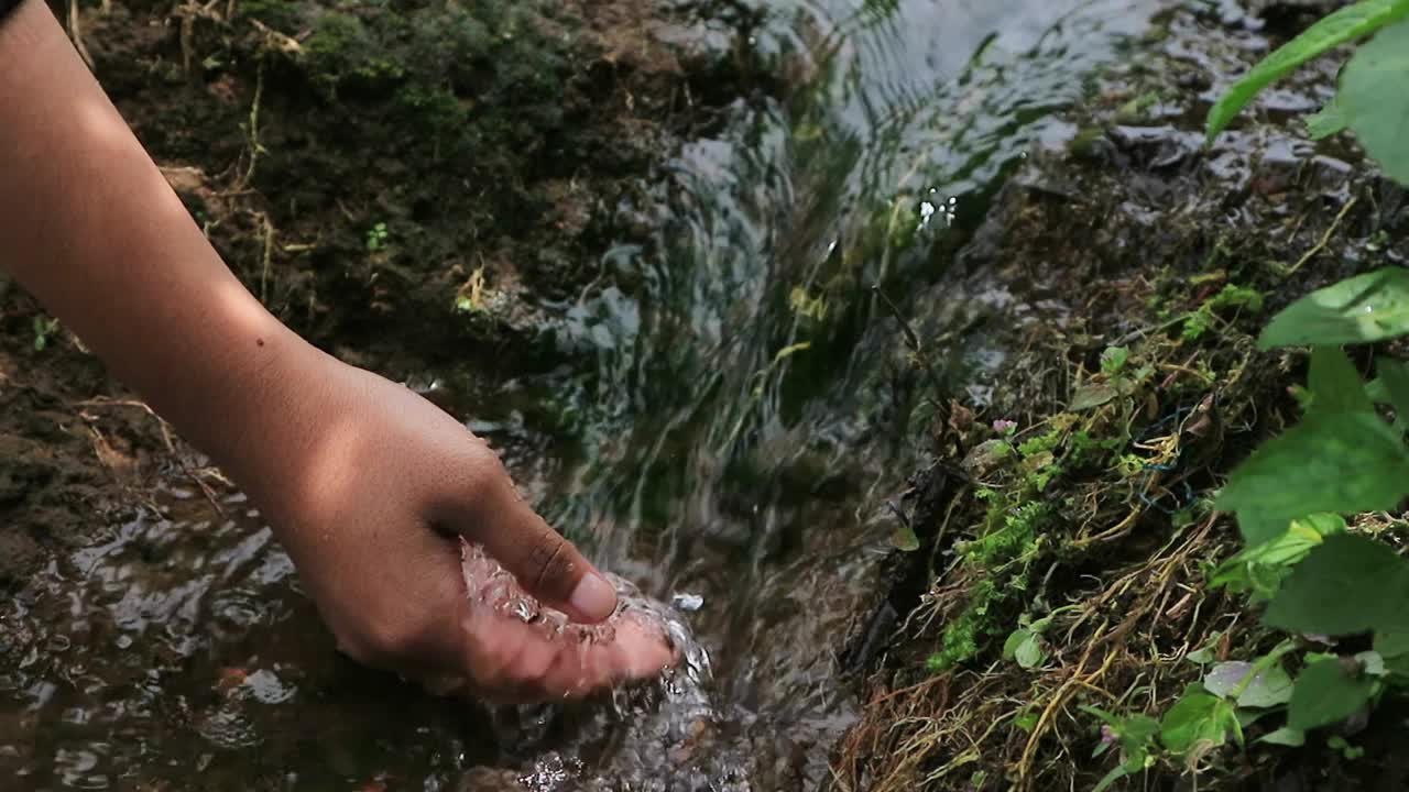 手在森林里摸水视频下载