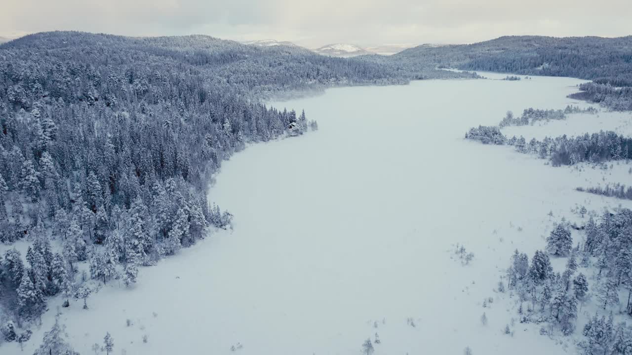 在冬季暴风雪中，冷杉林被厚厚的积雪覆盖。空中回射视频素材