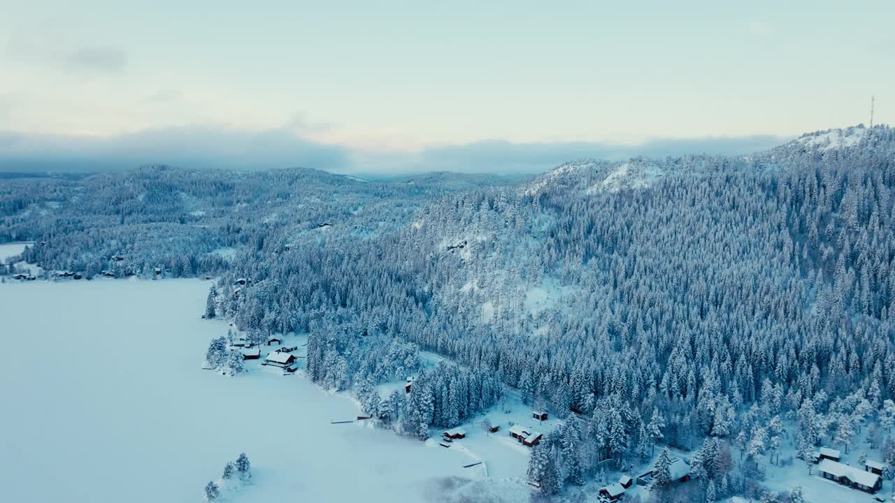 冬雪覆盖的山腰森林旁的村庄。无人机航拍视频素材