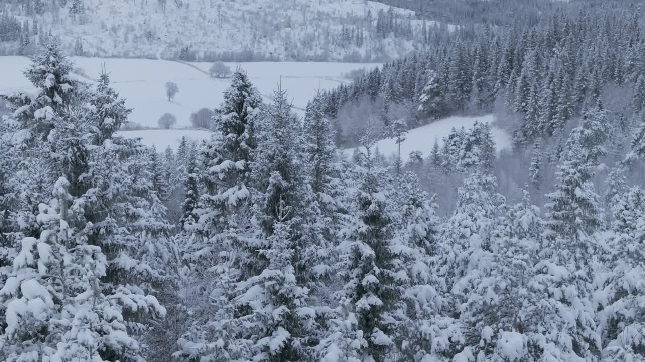 冬季森林山脉上的暴风雪。航拍特写视频素材