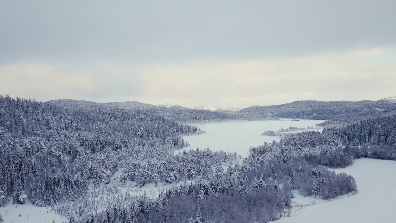 冬季暴风雪后山林湖的雪景。无人机航拍视频素材