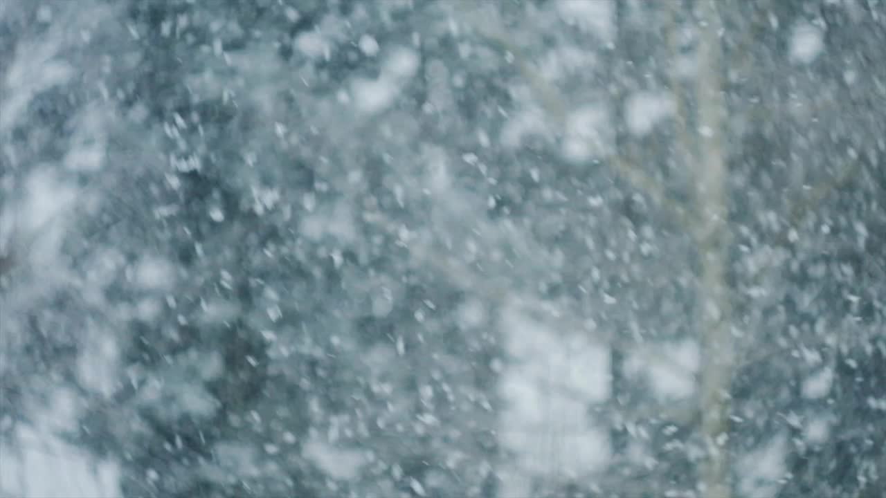 冬天的故事。毛茸茸的冬雪落在背景森林里，在夜晚的风和冷空气中打旋。圣诞假期和冬季的概念。有选择性的重点视频素材