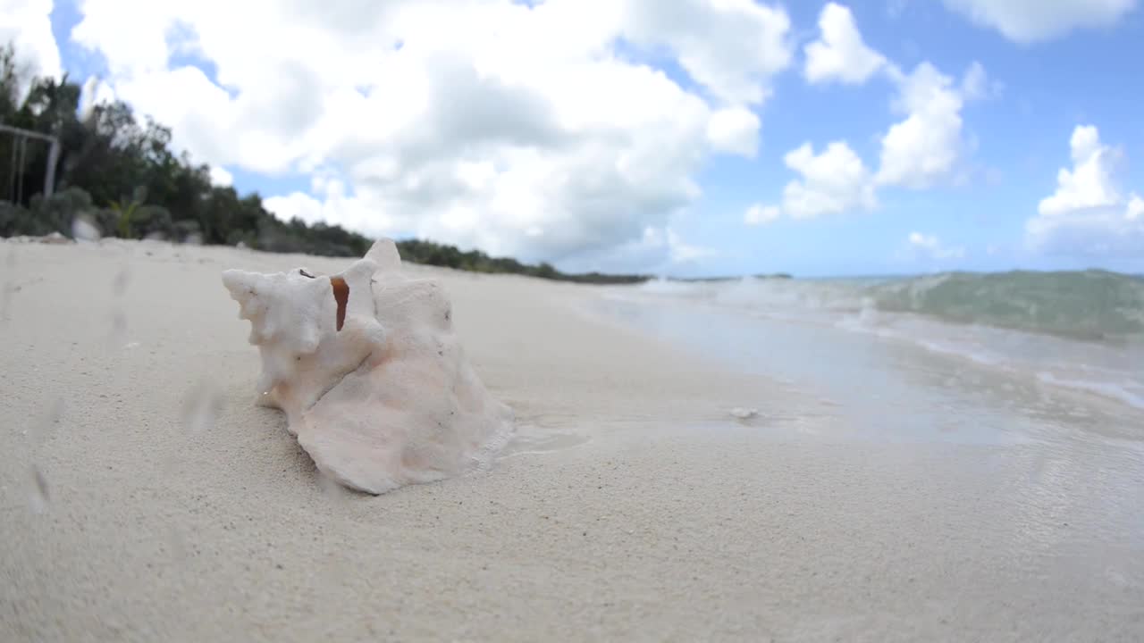 在科苏梅尔，海浪掠过海螺视频素材