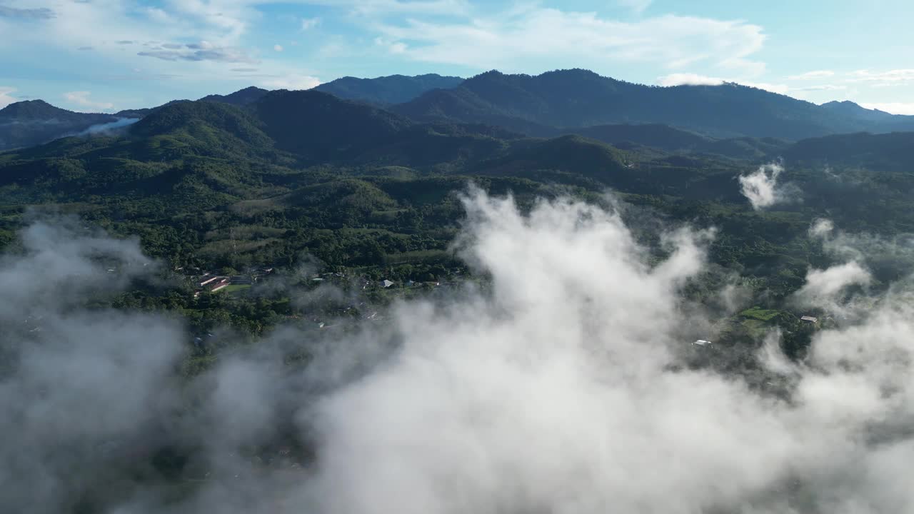云雾缭绕的种植园景色，营造出宁静的氛围视频素材