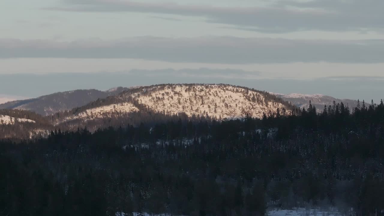 阴天衬托下的冬季森林树木和雪山。广角镜头视频素材