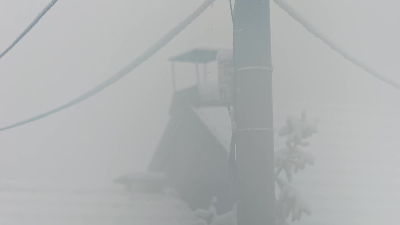 在一个雾蒙蒙的雪天里，一只黑乌鸦在屋顶上行走的慢镜头视频下载