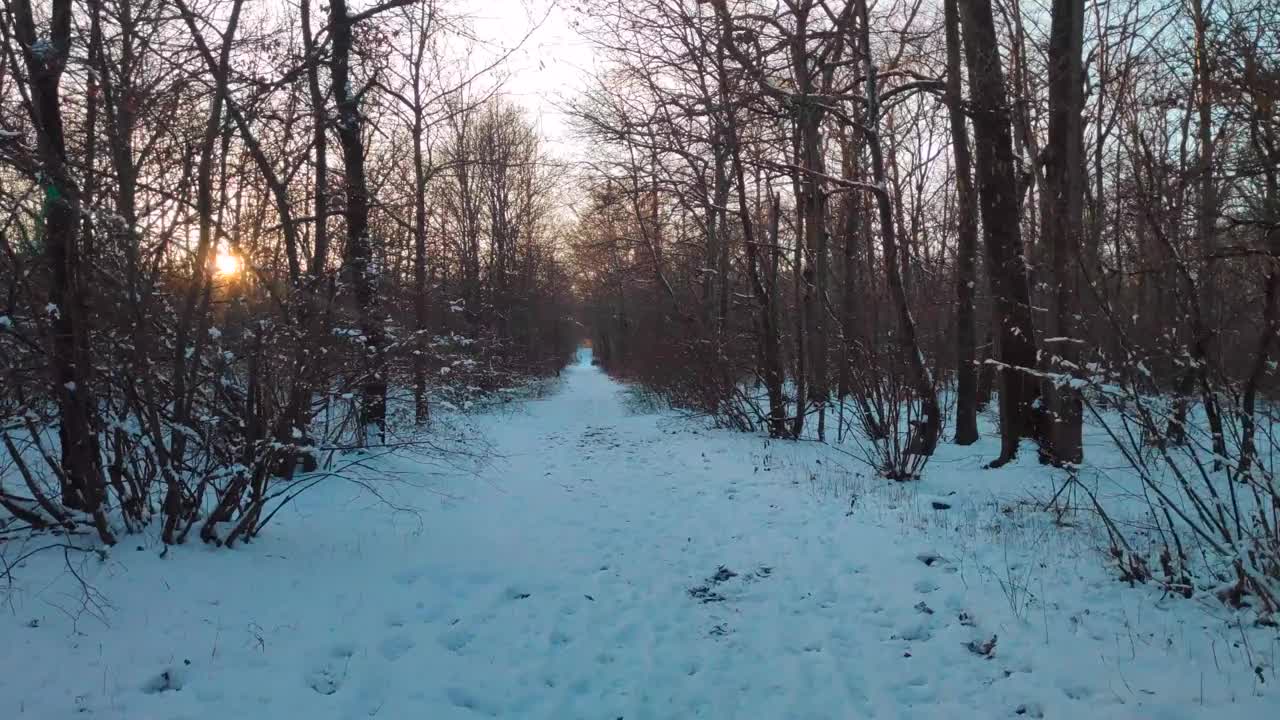 在冬天的傍晚，走在雪林的小路上视频素材