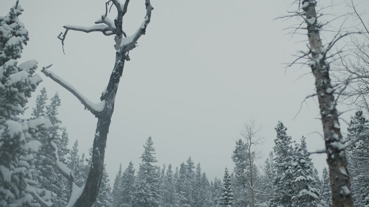 美丽、风景优美的瀑布依偎在山上，雪花纷飞视频素材