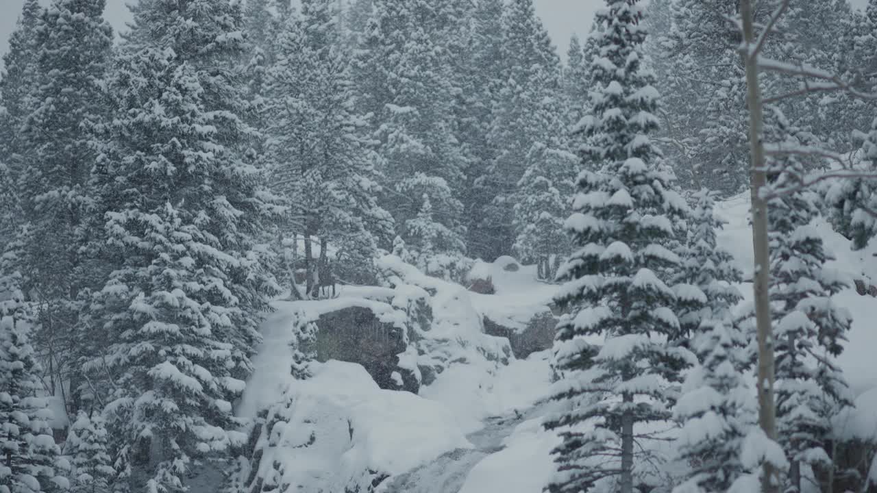 美丽、风景优美的瀑布依偎在山上，雪花纷飞视频素材