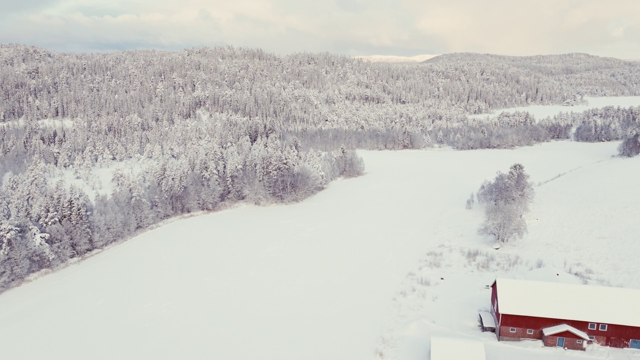 农舍和小屋附近的雪景森林的乡村景象。无人机航拍视频素材